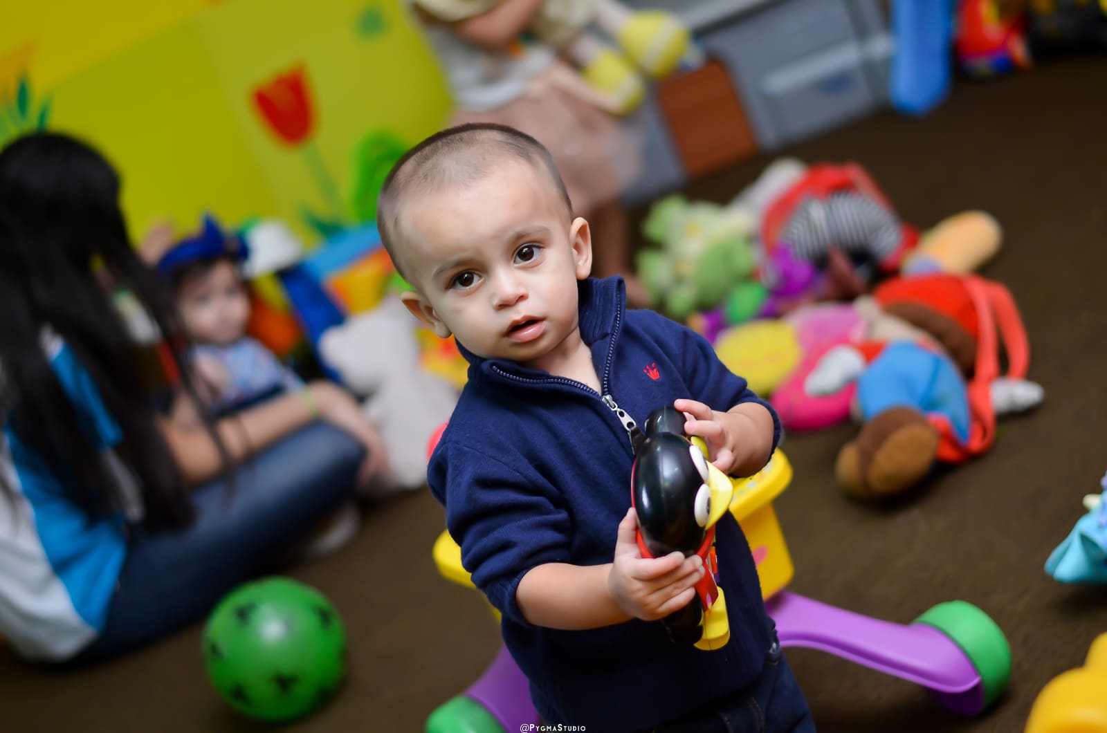 Mobirise Website Builder